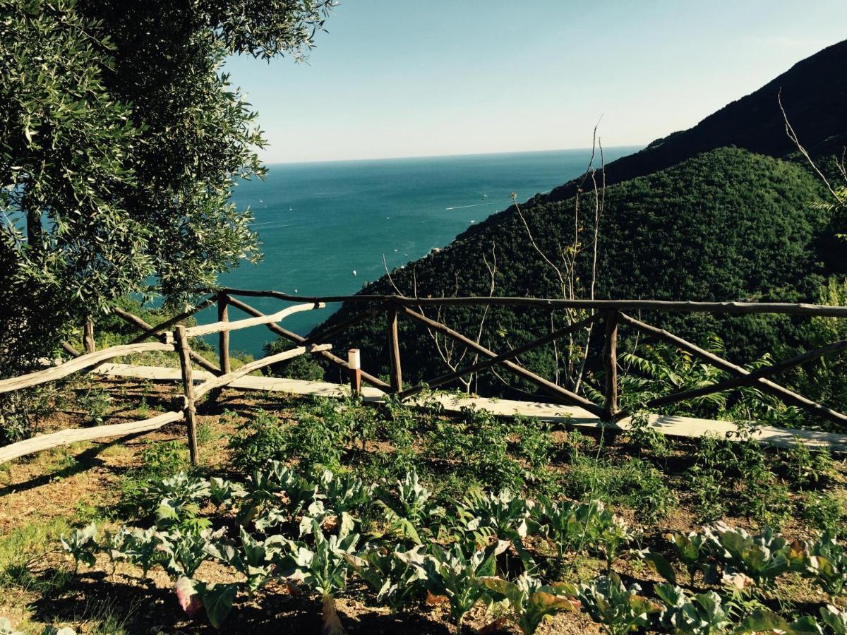 Bed and Breakfast Casa Flora Vietri Exterior foto