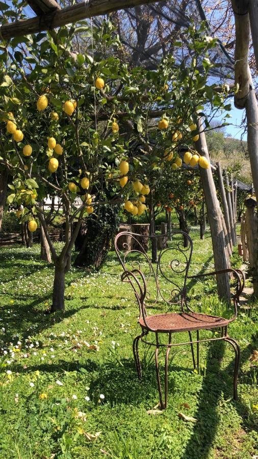Bed and Breakfast Casa Flora Vietri Exterior foto